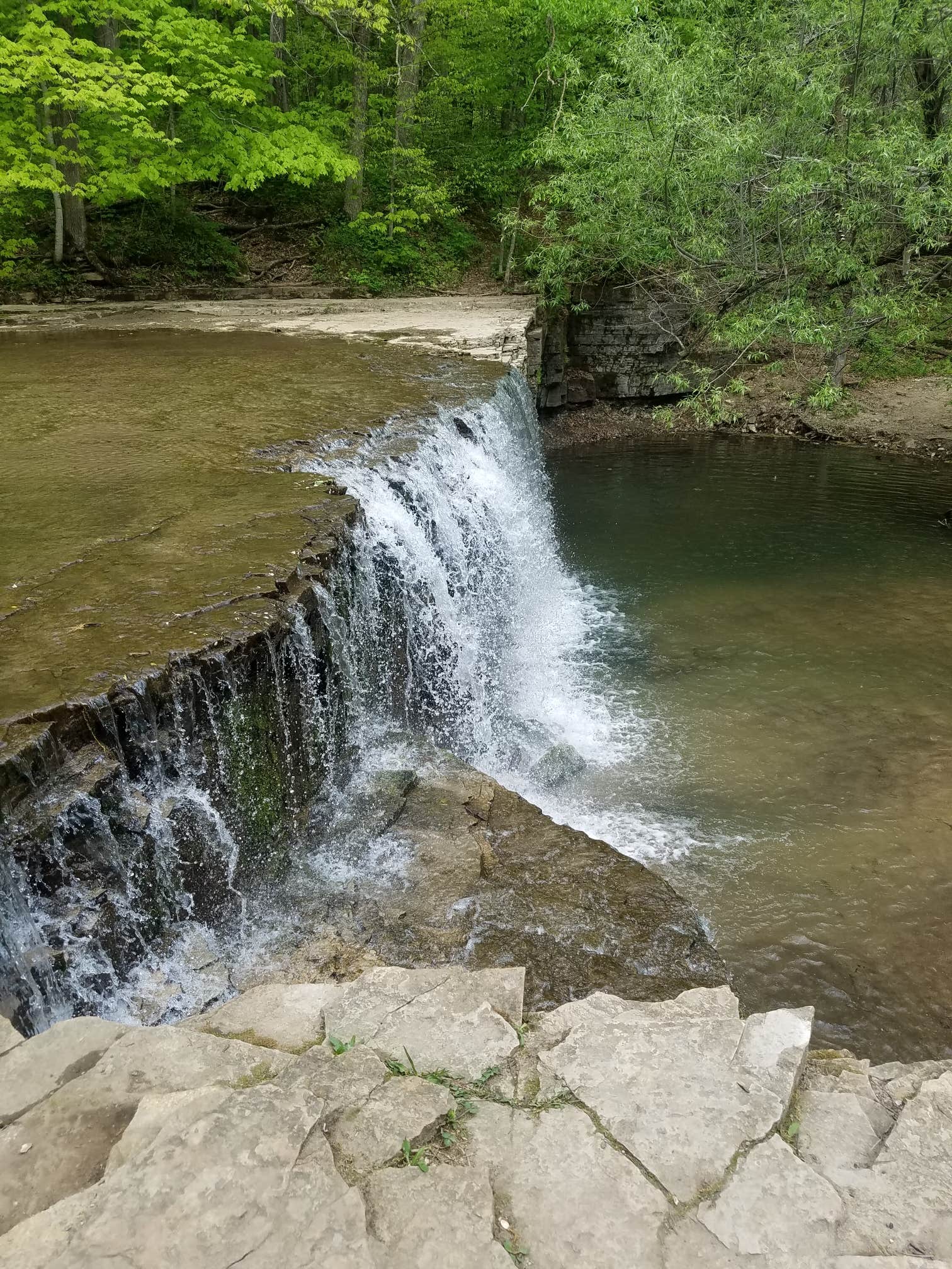 Camper submitted image from Nerstrand Big Woods State Park Campground - 4