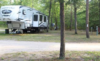 The Dyrt's photo at Twin Bears Wooded Campground near Mullett Lake, MI