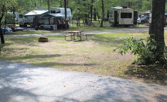 The Dyrt's photo at Twin Bears Wooded Campground near Conway, MI