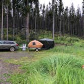 Review photo of Beaverdam Campground and Picnic Area by Art S., July 18, 2018