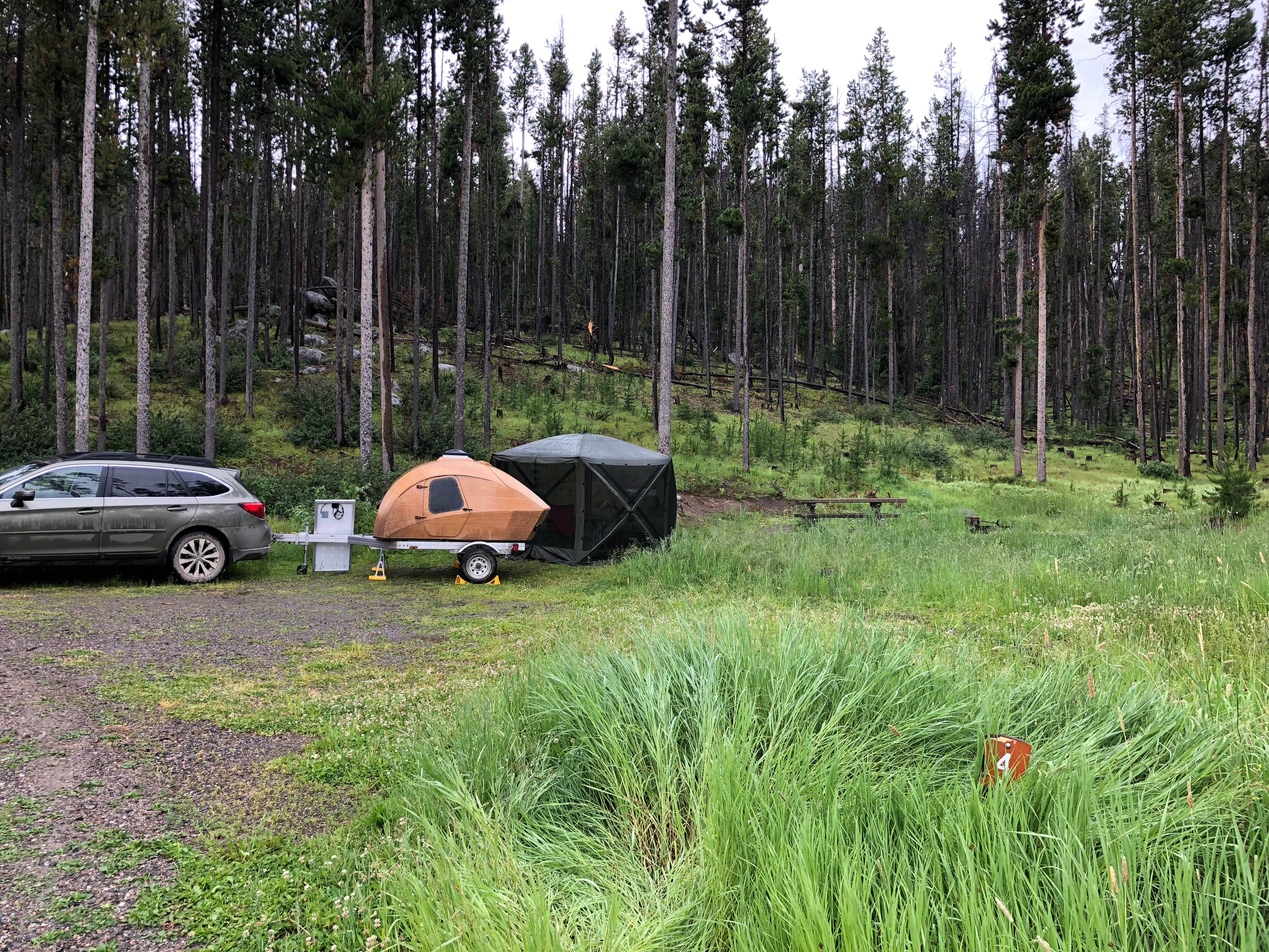 Camper submitted image from Beaverdam Campground and Picnic Area - 5