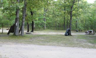 The Dyrt's photo at Twin Bears Wooded Campground near Mullett Lake, MI