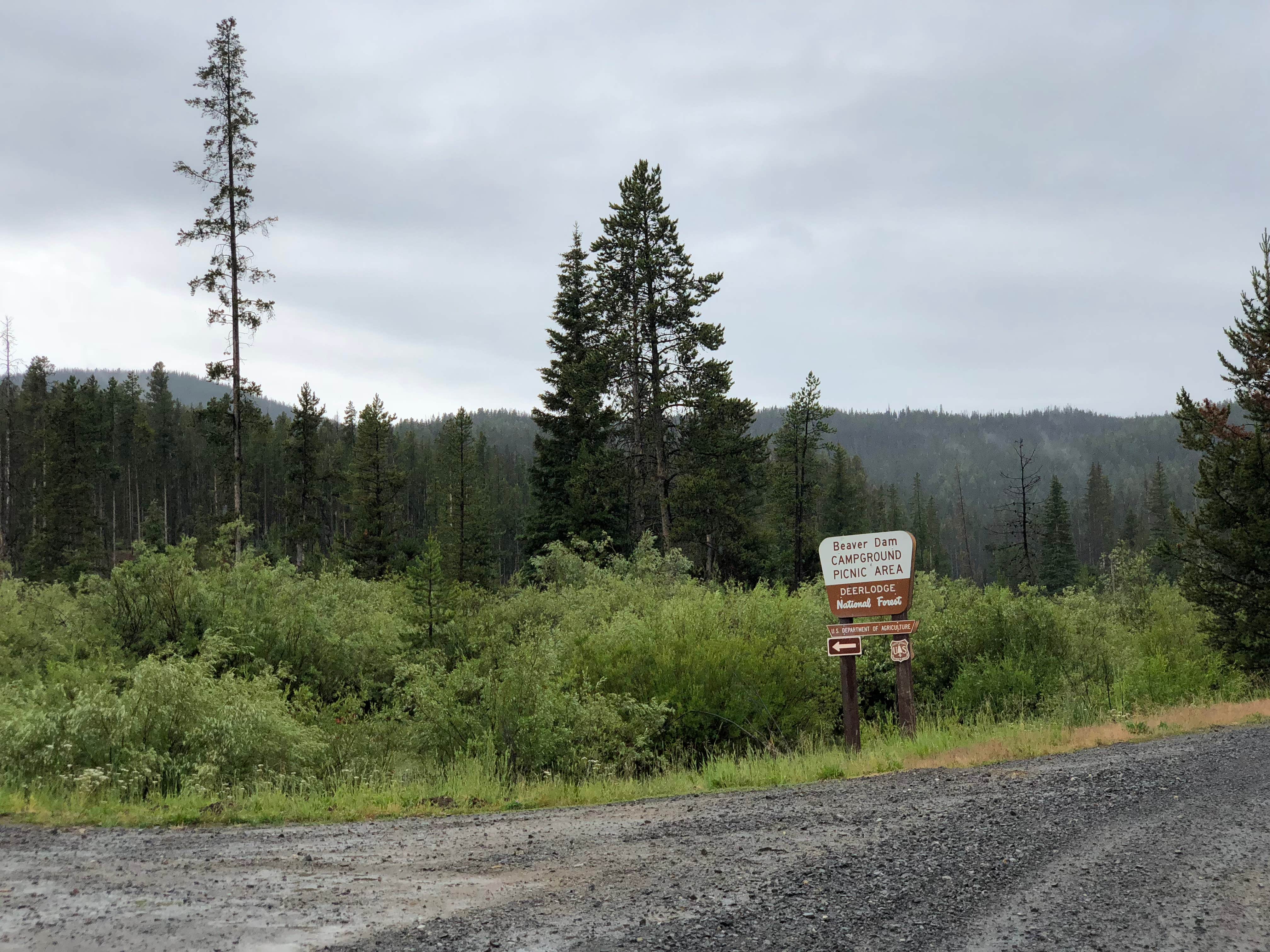 Camper submitted image from Beaverdam Campground and Picnic Area - 3