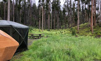 Art S.'s photo at Beaverdam Campground and Picnic Area near Beaverhead-Deerlodge National Forest