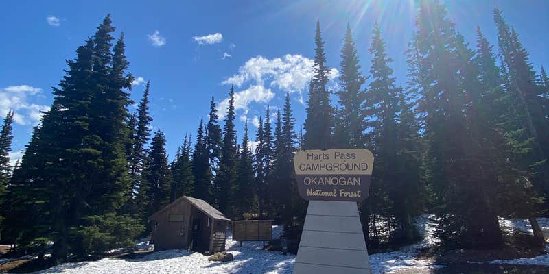 Camper submitted image from Harts Pass Campground