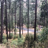 Review photo of Pine Flat Campground West by Ruth  P., July 18, 2018