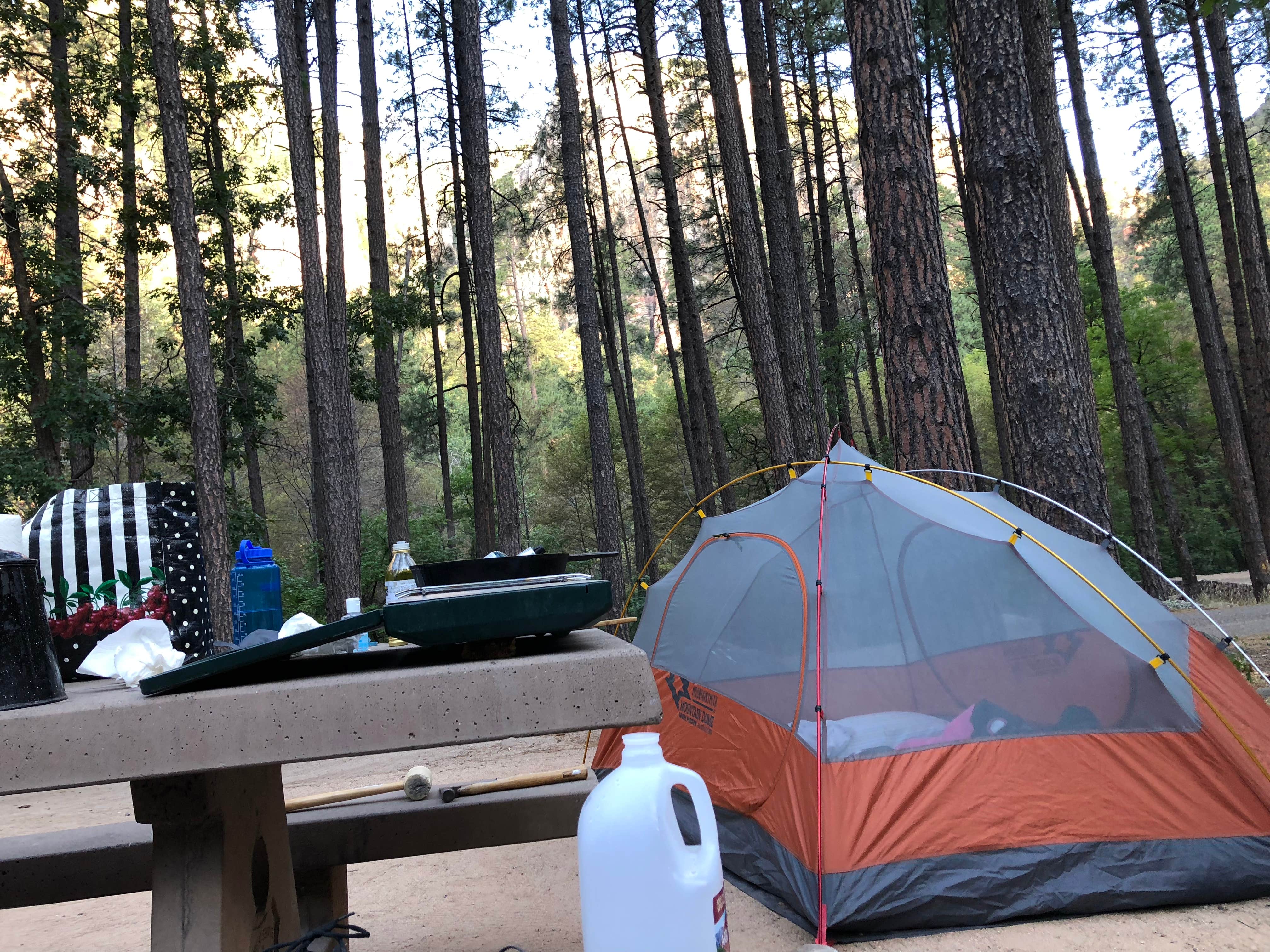 Ruth  P.'s photo at Pine Flat Campground West near Munds Park, AZ