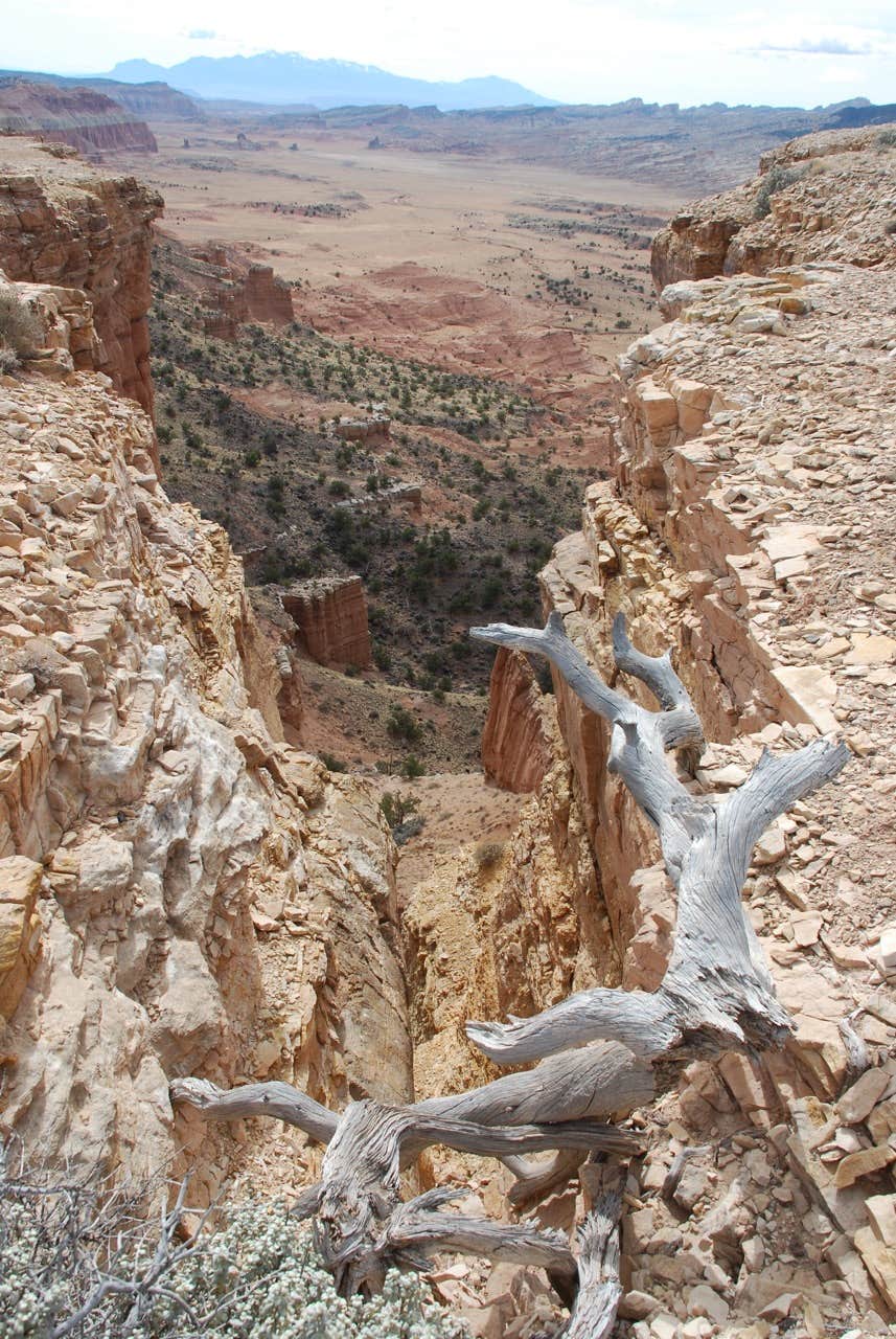 Camper submitted image from Cathedral Valley Campground — Capitol Reef National Park - 5