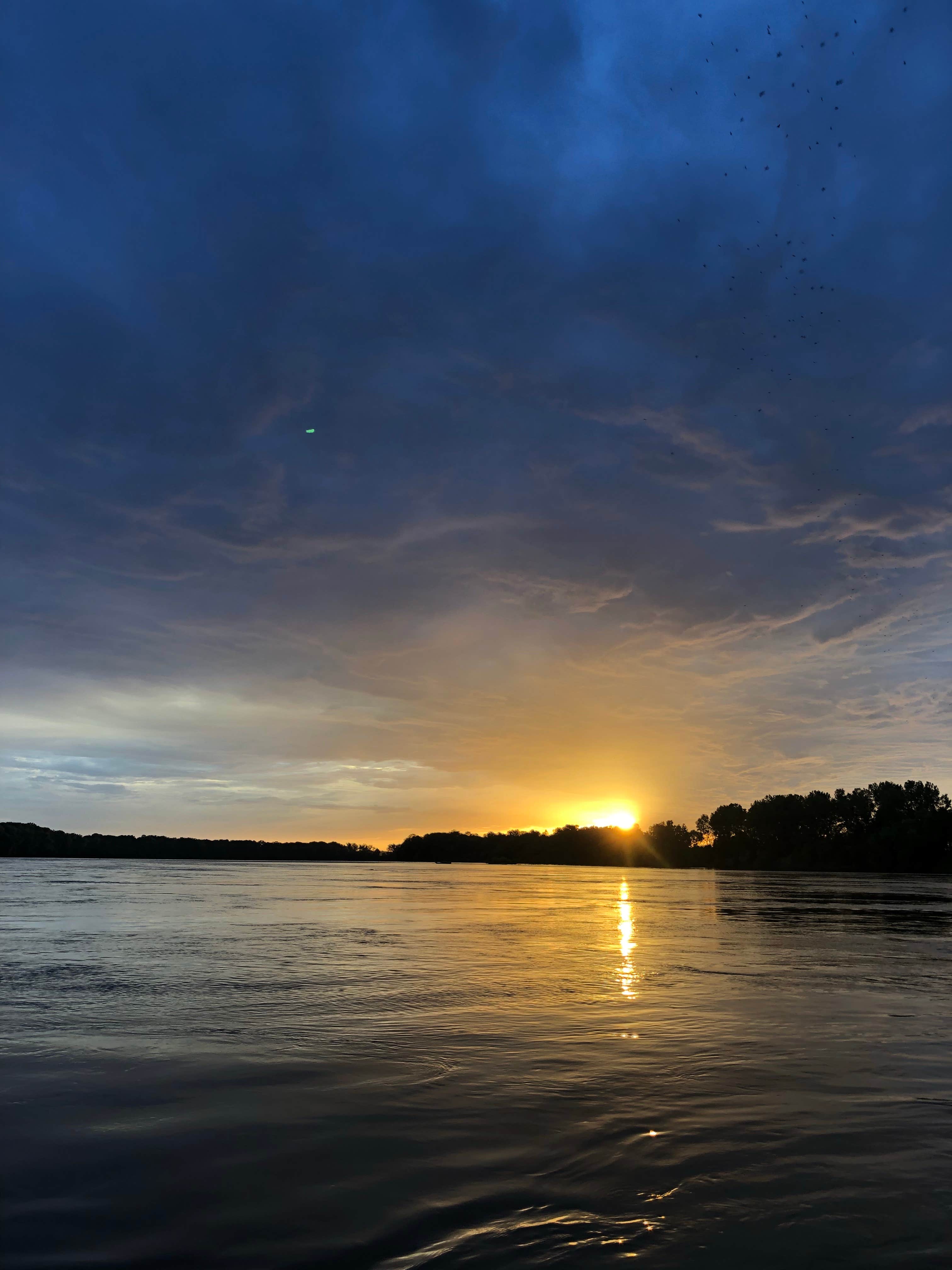 Camper-submitted photo at Chamois Access near Portland, MO