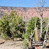 Review photo of Cedar Mesa Campground — Capitol Reef National Park by Rob F., July 18, 2018