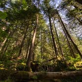 Review photo of Colonial Creek North Campground — Ross Lake National Recreation Area by Ann P., July 6, 2022