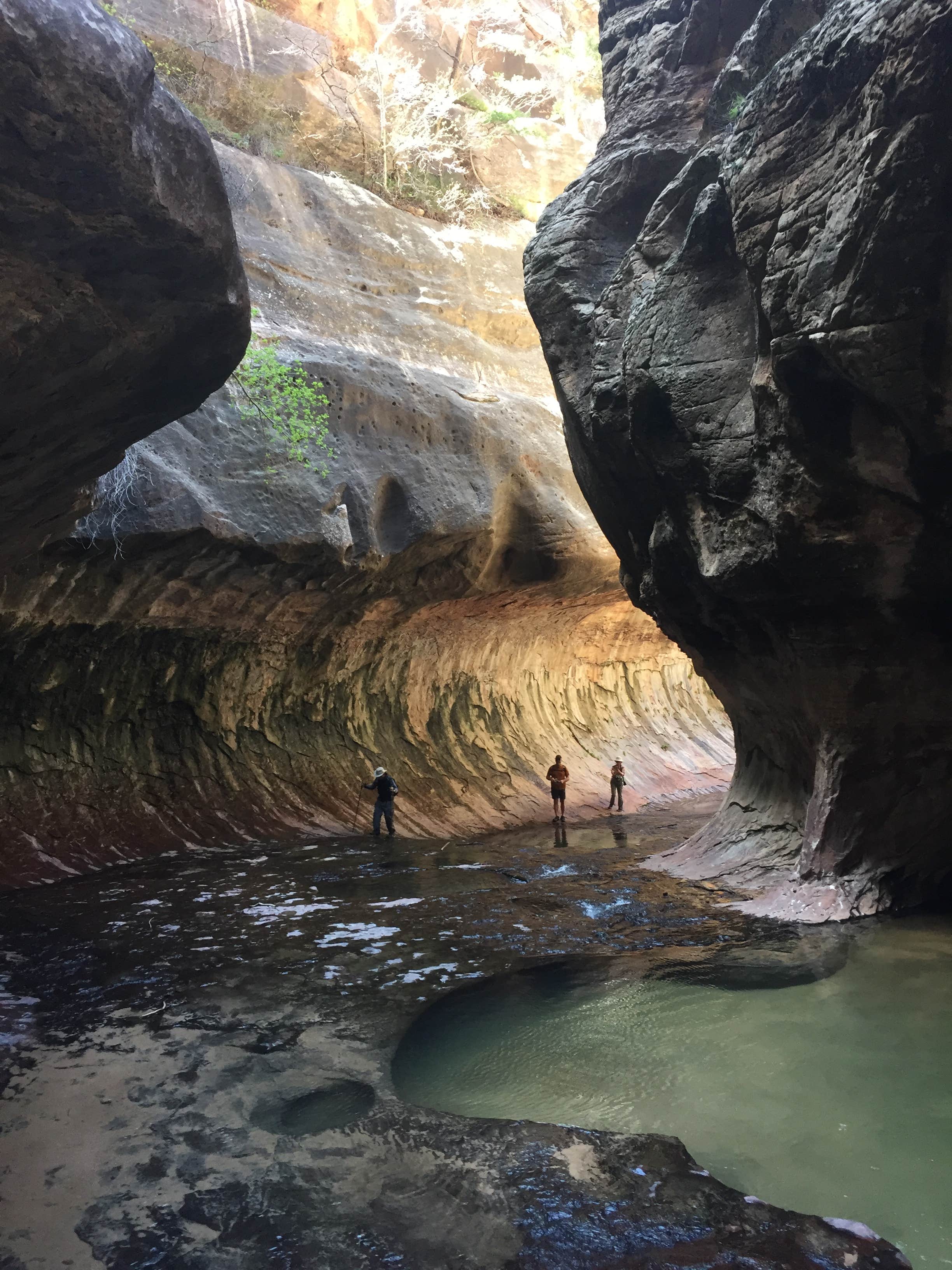 Red Ledge RV Park The Dyrt