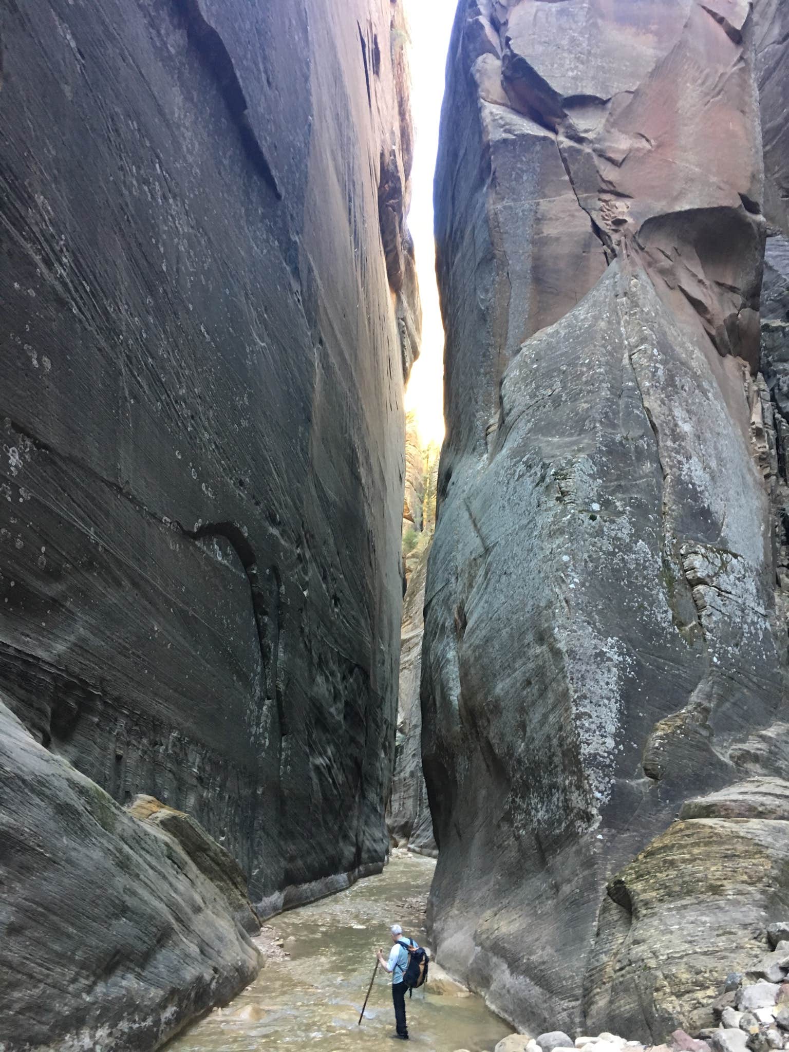The Narrows, Zion NP, Utah