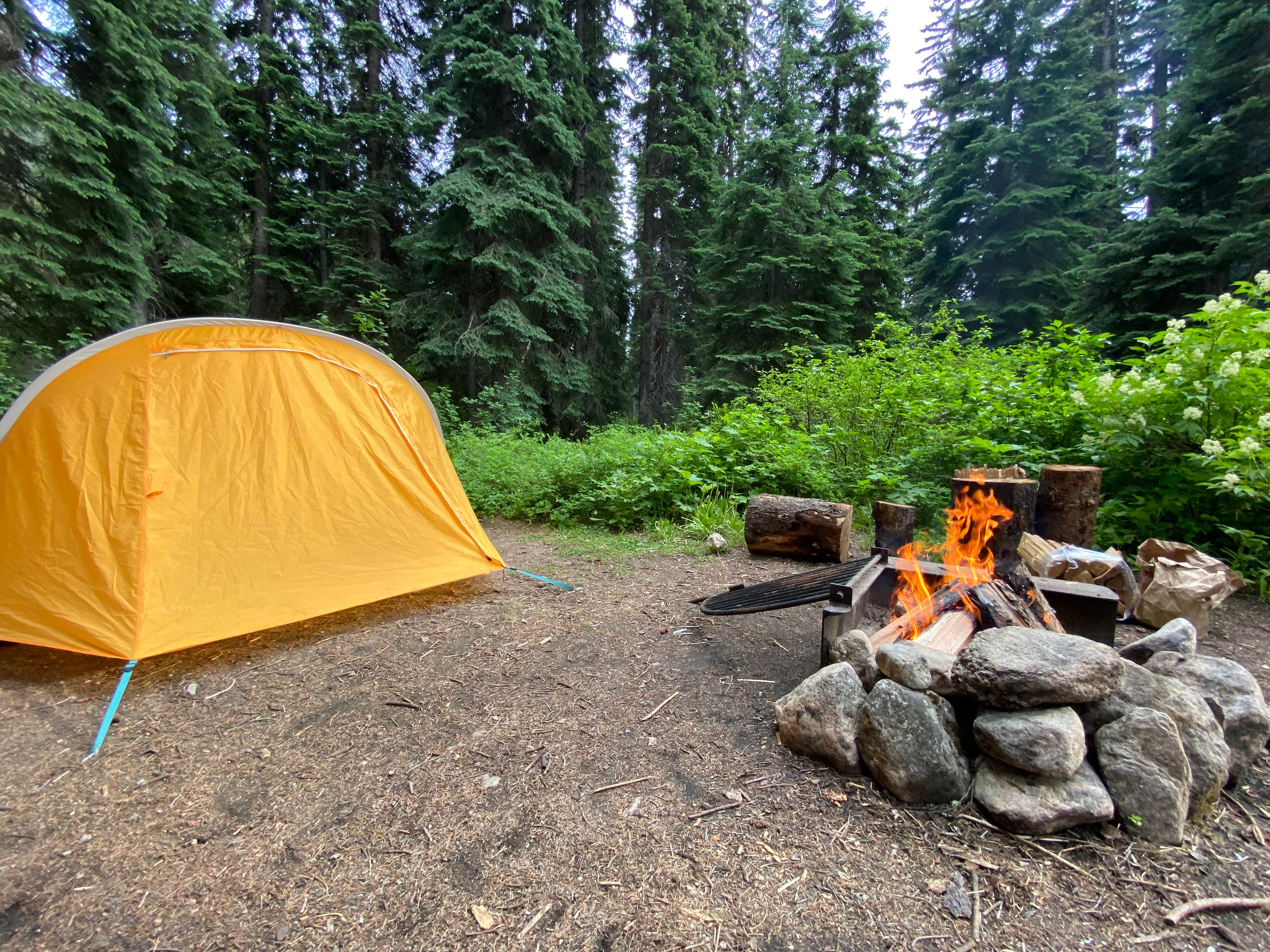 Ann P.'s photo at Lone Fir Campground near Lake Chelan National Recreation Area