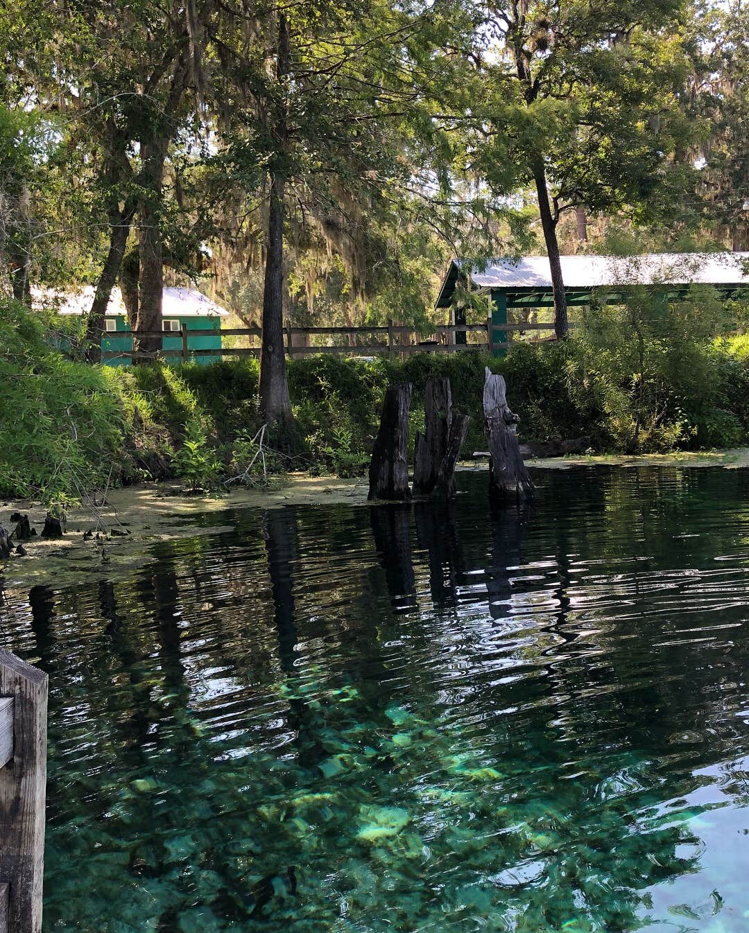 Crystal P.'s photo of a cabin at Hart Springs Park near Fort White, FL