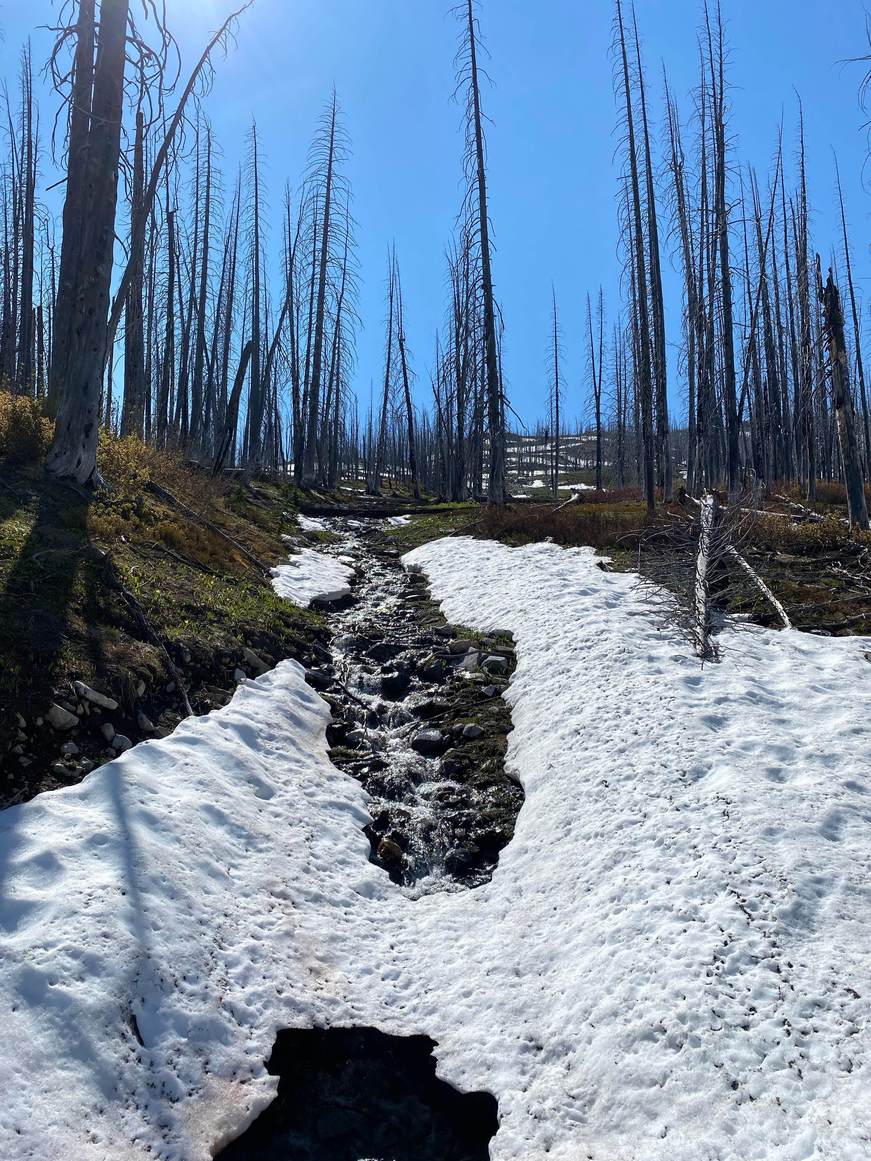 Camper-submitted photo at Meadows Campground near Mazama, WA