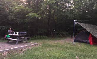 Daniel G.'s photo at Lower Lake Campground Beechwood Area — Promised Land State Park near Covington, PA
