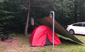 Daniel G.'s photo at Lower Lake Campground Beechwood Area — Promised Land State Park near Lords Valley, PA