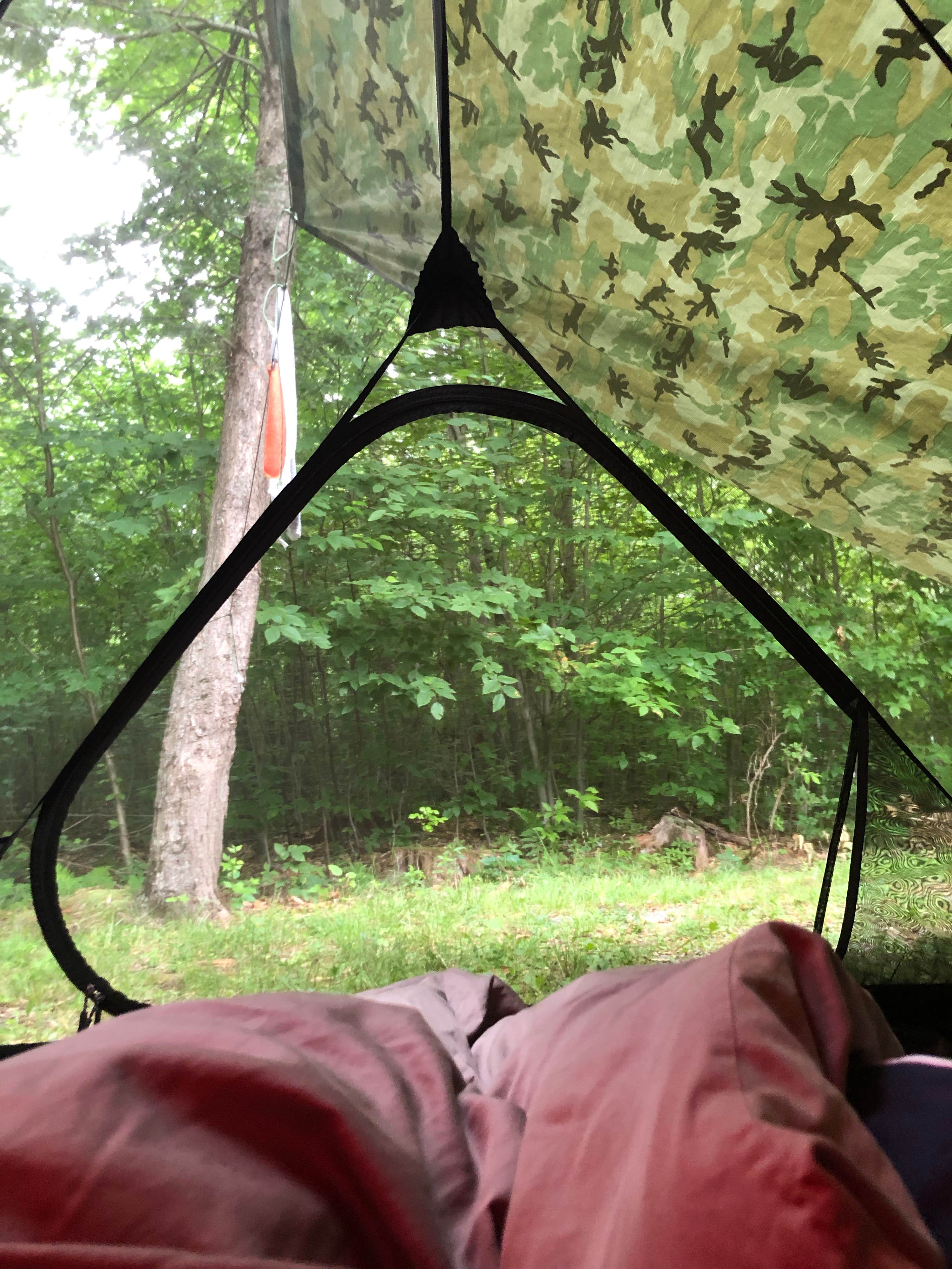 Daniel G.'s photo at Lower Lake Campground Beechwood Area — Promised Land State Park near Lords Valley, PA