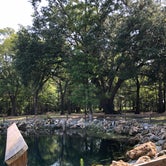 Review photo of Otter Springs Park & Campground by Crystal P., July 18, 2018
