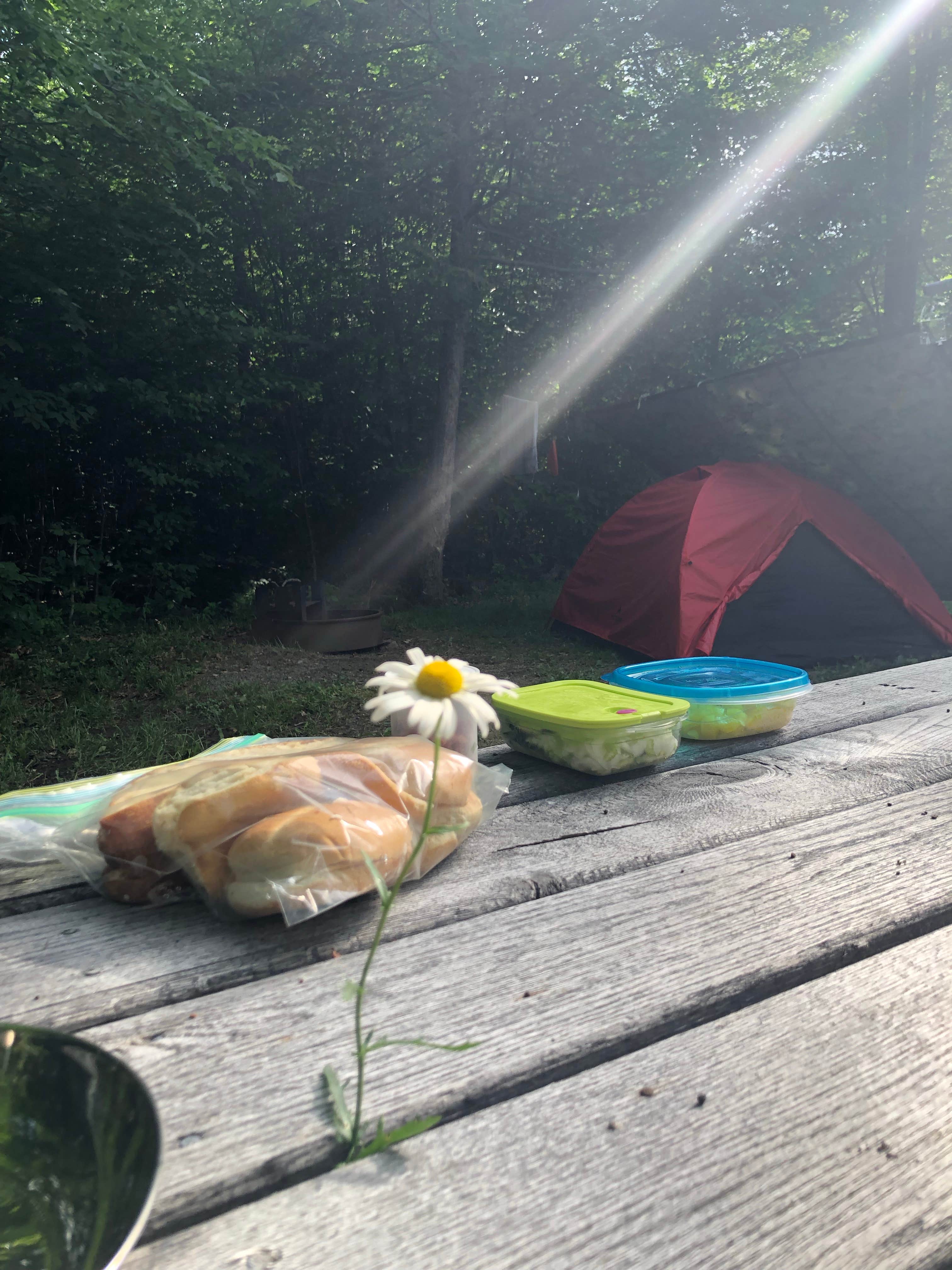 Daniel G.'s photo at Lower Lake Campground Beechwood Area — Promised Land State Park near Paupack, PA