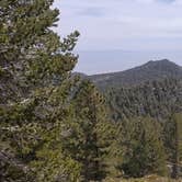 Review photo of Round Valley Campsite — Mount San Jacinto State Park by Katie O., July 14, 2018