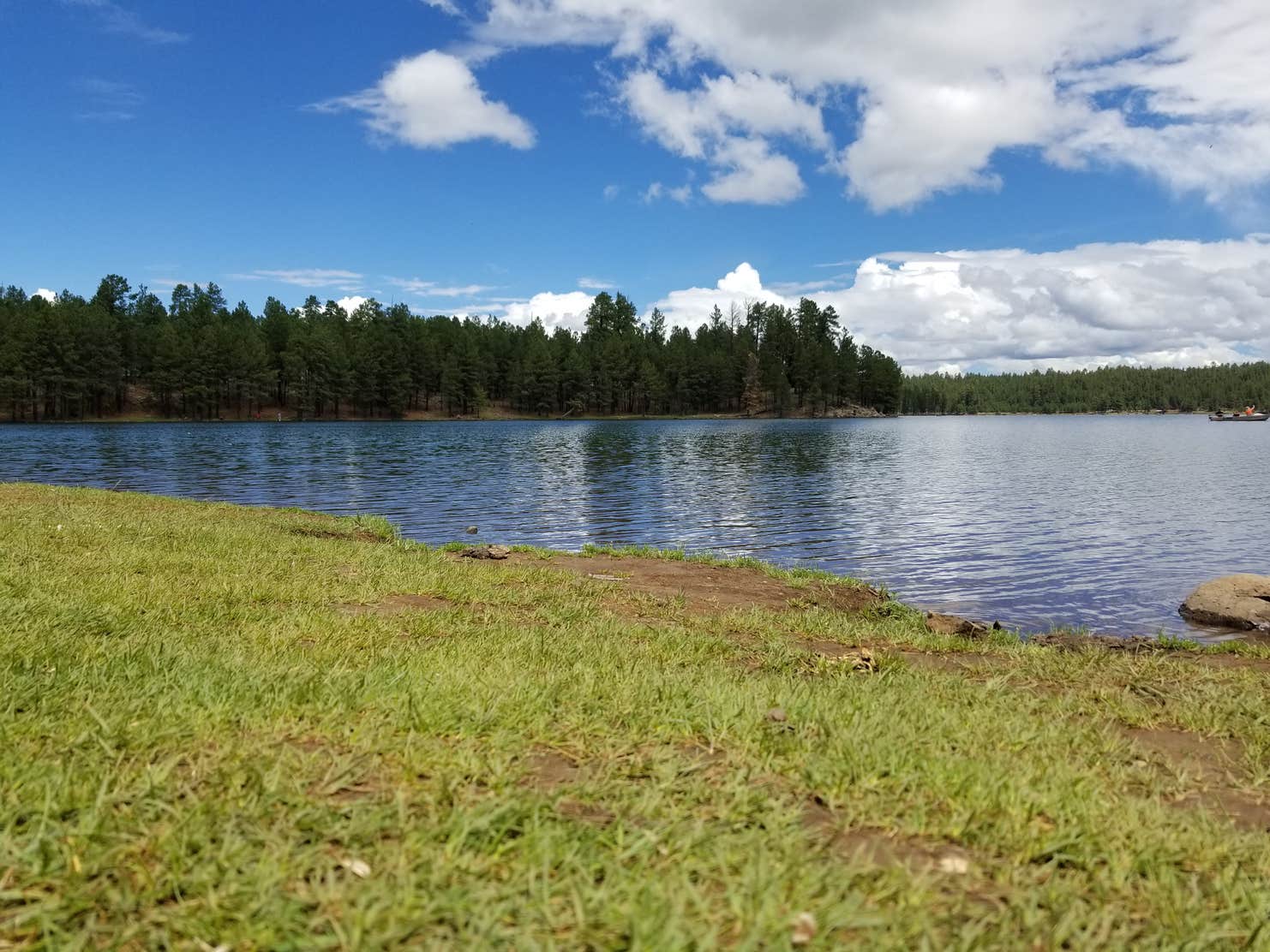 Hawley Lake Apache Indian Res The Dyrt