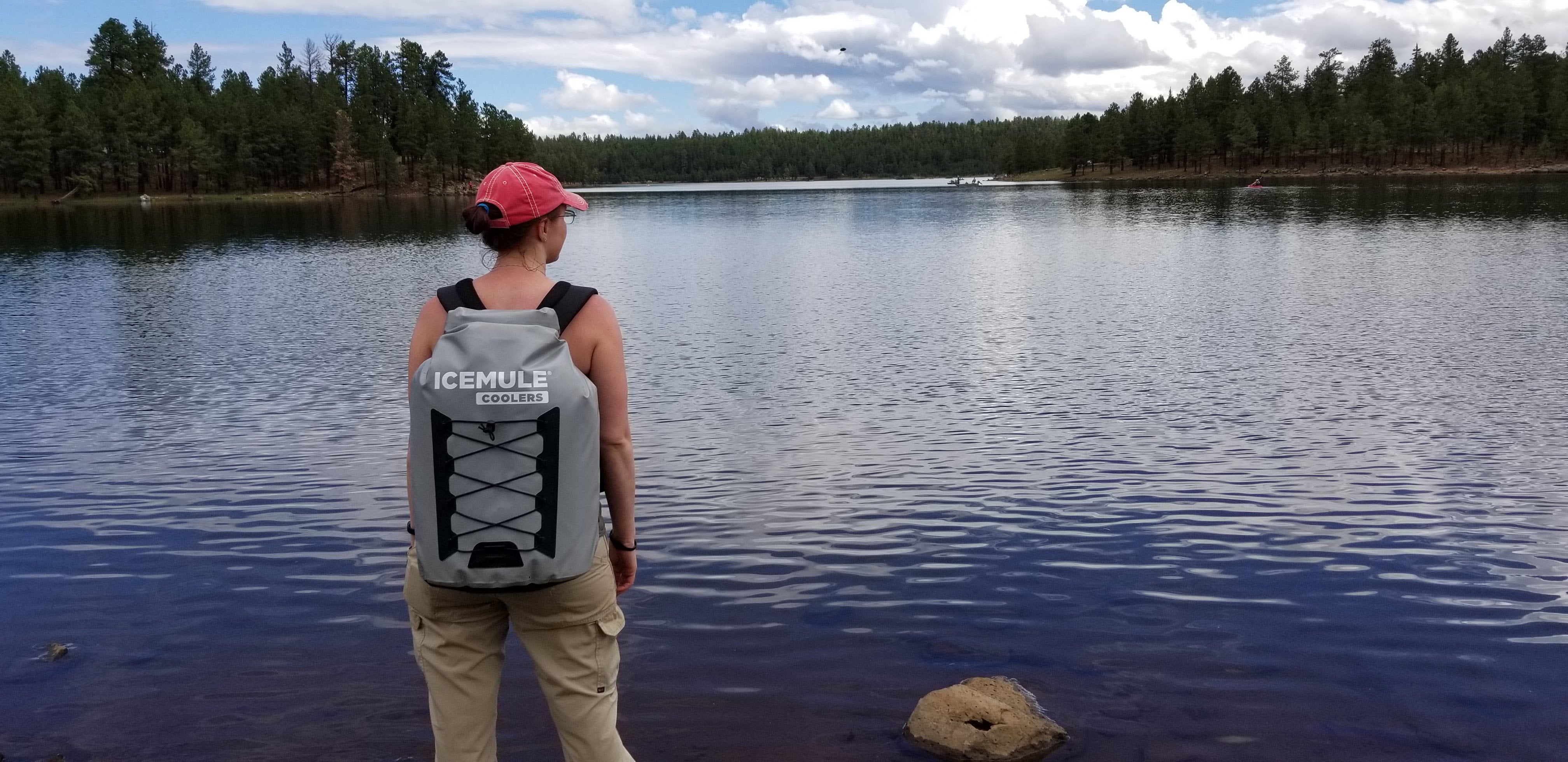 ICEMULE Pro X-Large - Easy to carry with the backpack straps