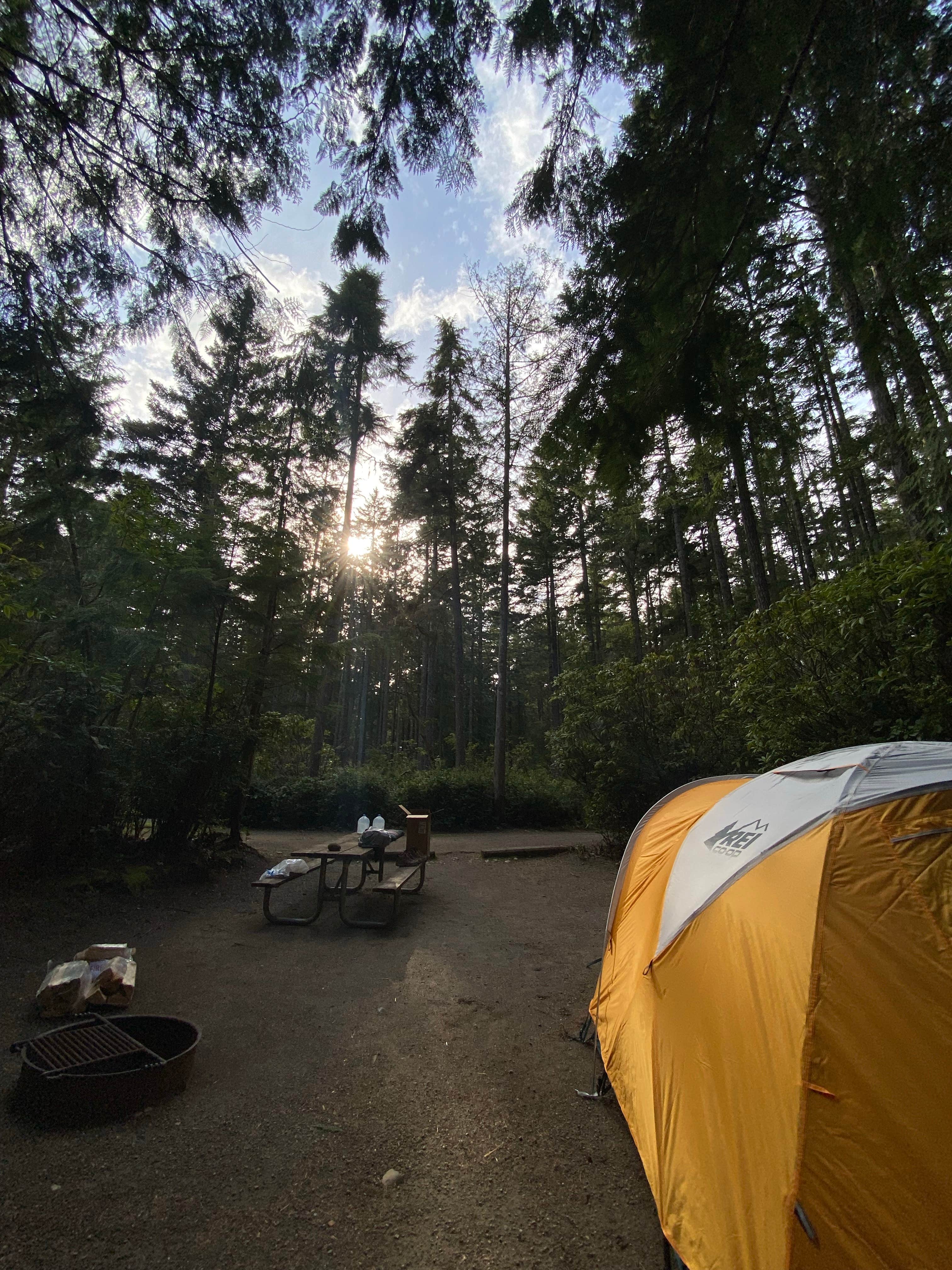 Ann P.'s photo at Scenic Beach State Park Campground near Quilcene, WA