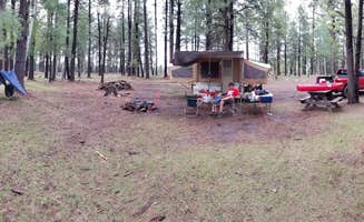 Krista Z.'s photo at Hawley Lake Apache Indian Res in Arizona