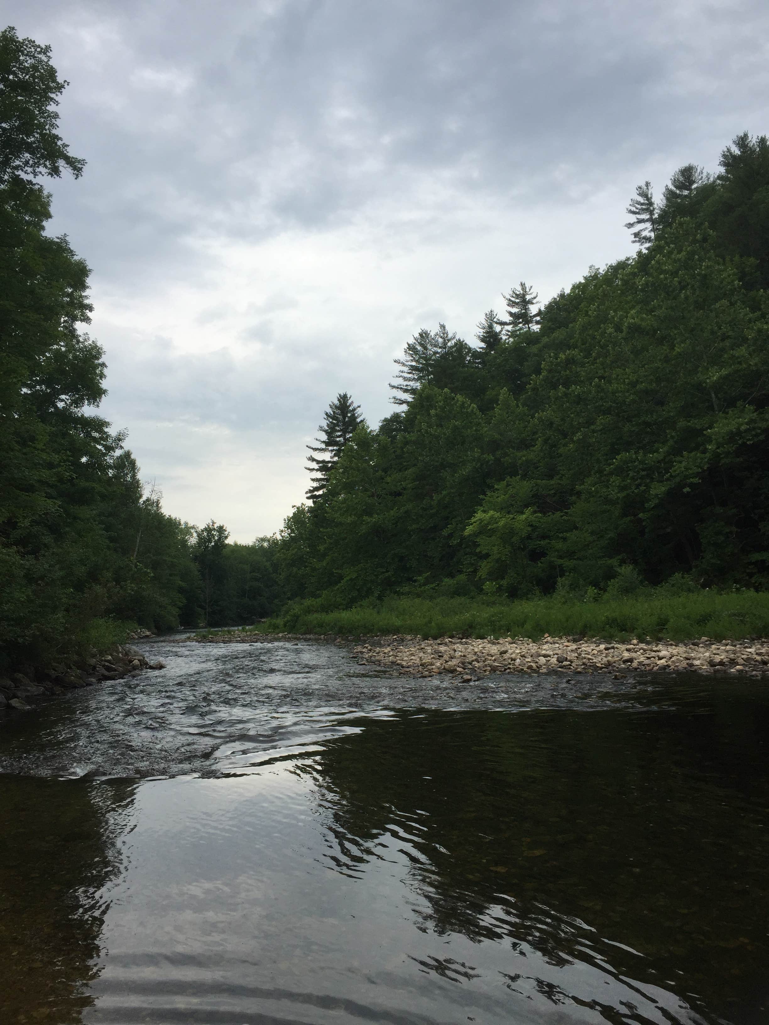 Camper submitted image from Camping On The Battenkill - 5