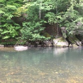Review photo of Camping On The Battenkill by Christina M., July 18, 2018