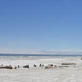 Review photo of Bombay Beach  - Salton Sea State Rec Area by Katie O., July 14, 2018