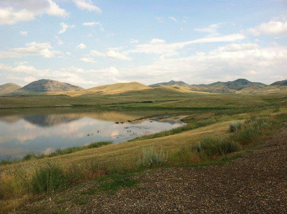 Camper submitted image from Bearpaw Lake - 1