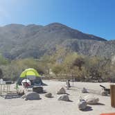 Review photo of Agua Caliente County Park Campground by Katie O., July 14, 2018