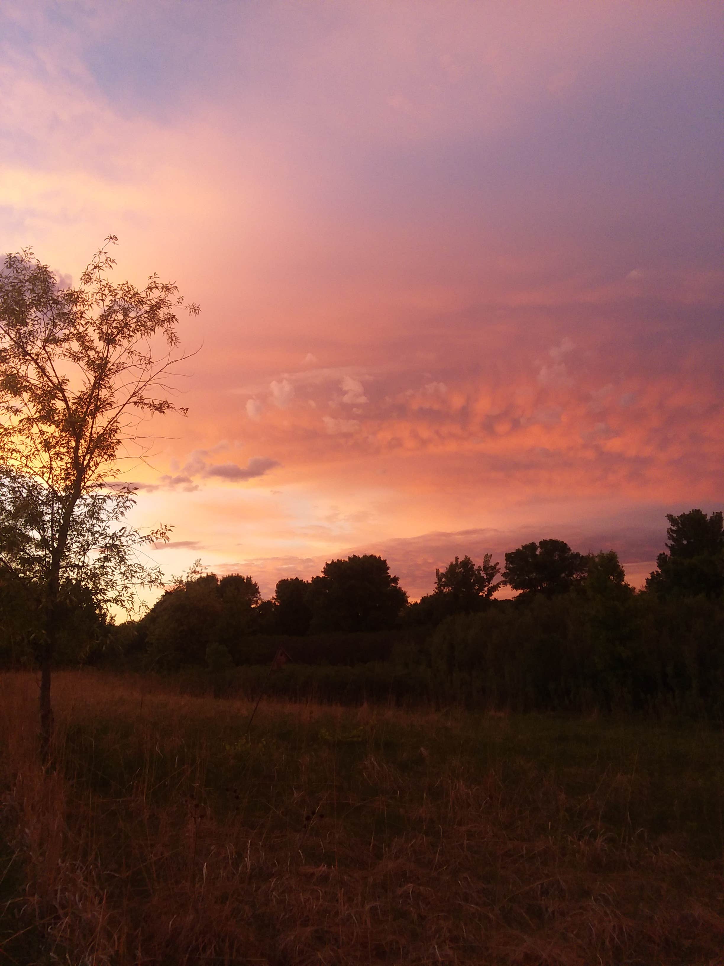 Sunset from White Fox campground 