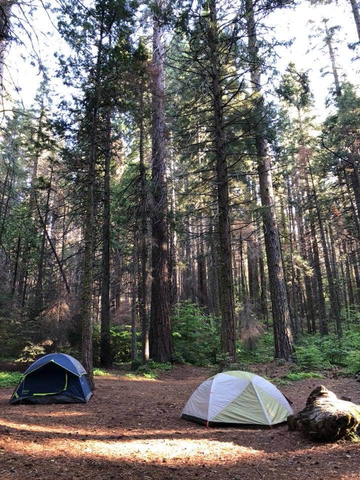 Kate O.'s photo at Nelder Grove Campground near Wawona, CA