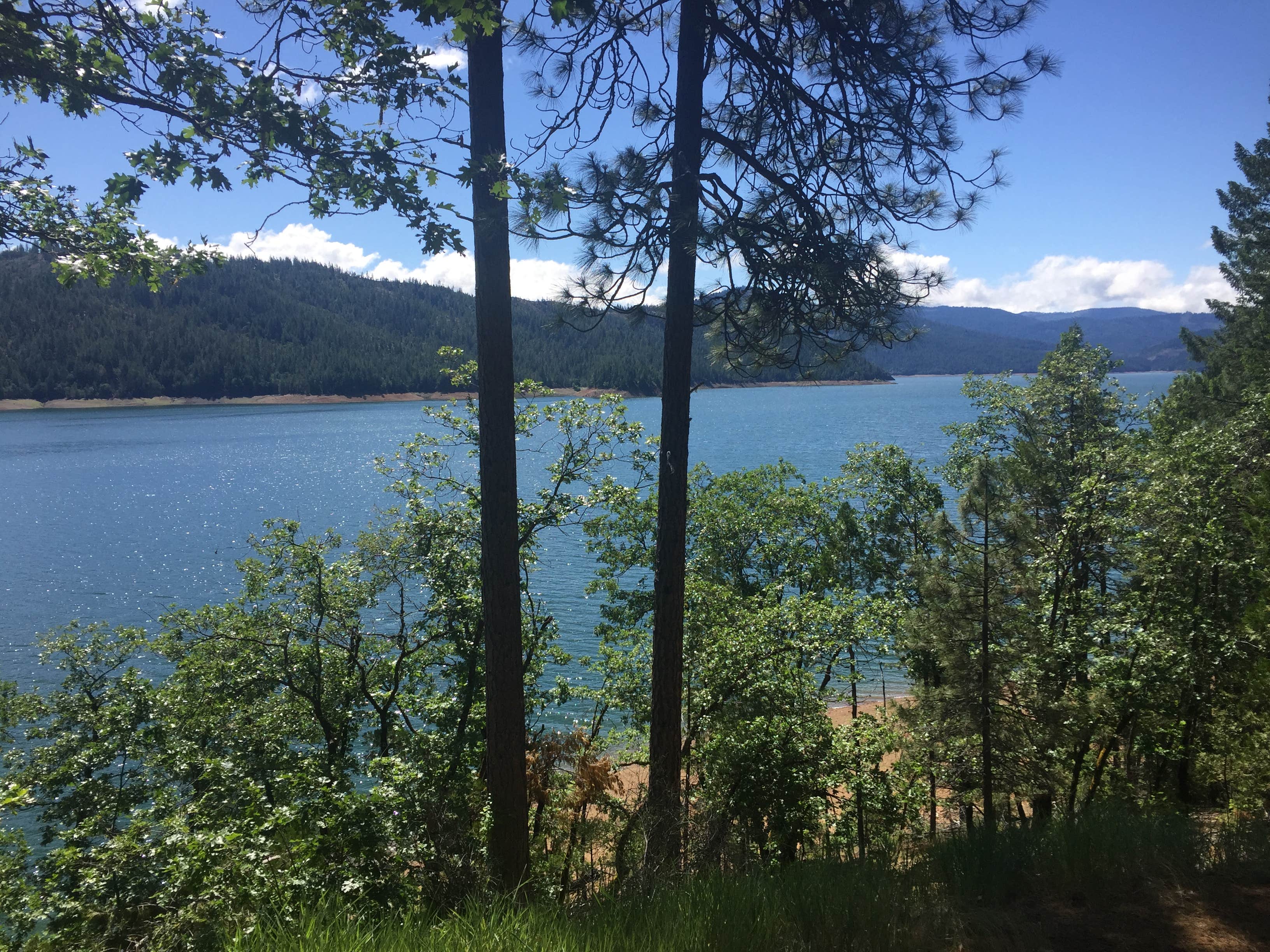 Camper-submitted photo at Hayward Flat near French Gulch, CA