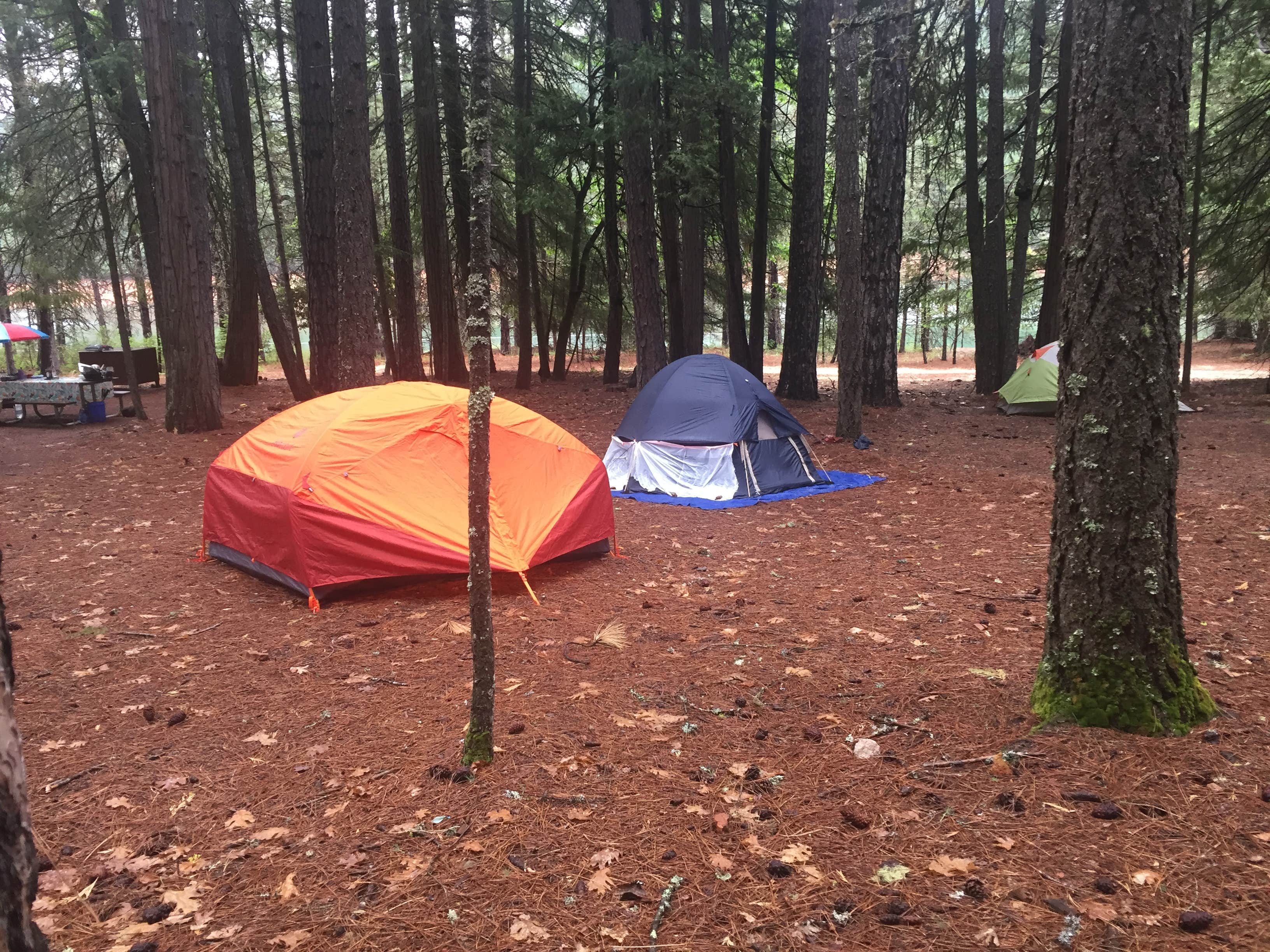 Camper-submitted photo at Hayward Flat near French Gulch, CA