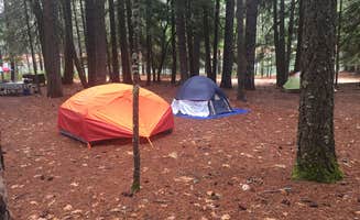 Michele F.'s photo at Hayward Flat near Whiskeytown National Recreation Area