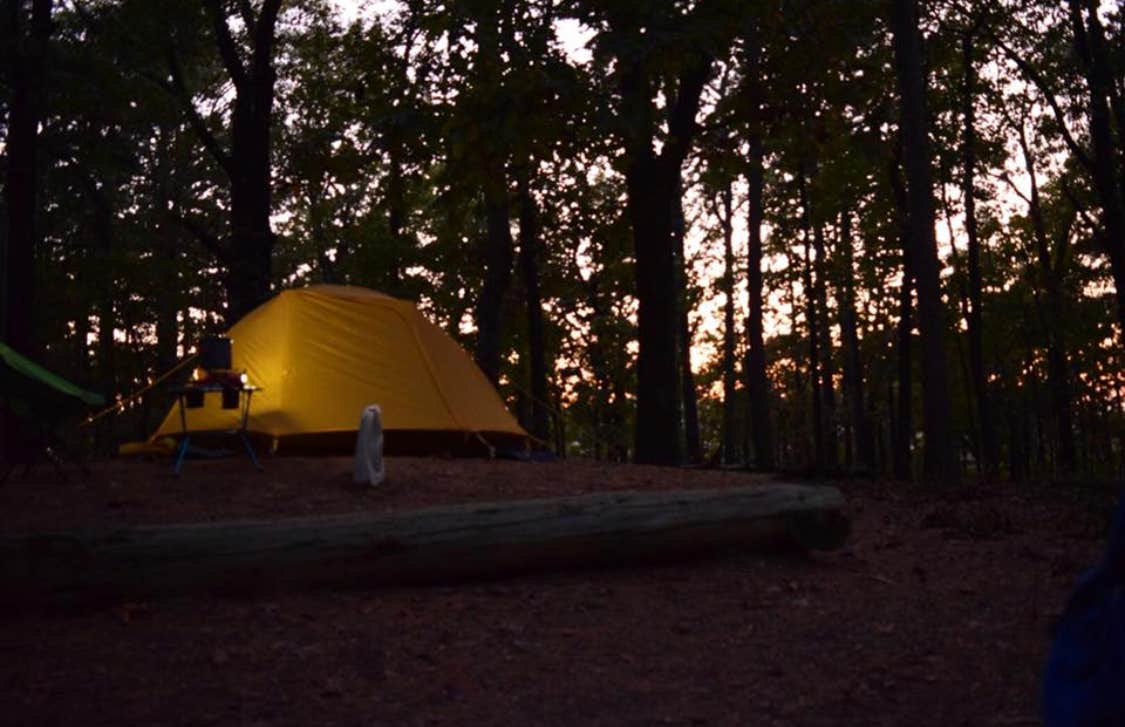Camper submitted image from Mount Nebo State Park Campground - 4