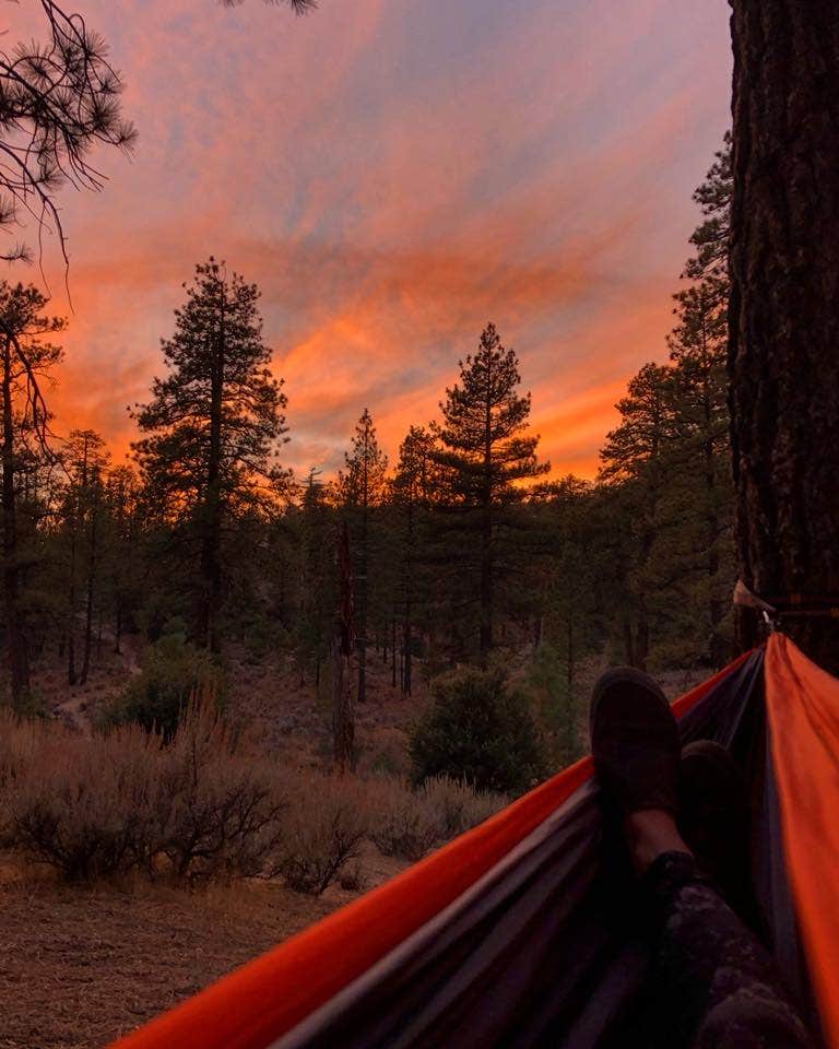 Kate O.'s photo at Horse Flats Campground near Juniper Hills, CA