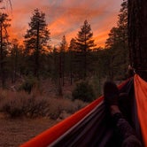 Review photo of Horse Flats Campground by Kate O., July 18, 2018