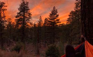Kate O.'s photo at Horse Flats Campground near Juniper Hills, CA