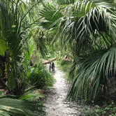 Review photo of Little Big Econ State Forest Primitive Camping - East Camp Zone by Brooklee E., July 18, 2018