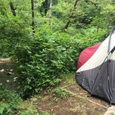 Review photo of Whittaker Creek Recreation Site by Courtney N., July 18, 2018