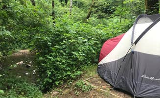 Courtney N.'s photo at Whittaker Creek Recreation Site near Fern Ridge Lake