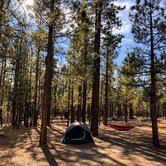 Review photo of Holcomb Valley Campground by Kate O., July 18, 2018