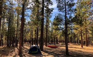 Kate O.'s photo at Holcomb Valley Campground near Big Bear Lake, CA