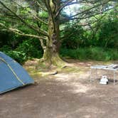 Review photo of Barview Jetty County Campground by Kayla M., July 18, 2018
